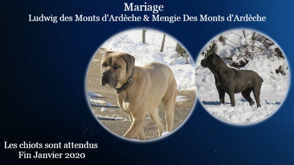 Des Montagnes Ardèchoise - Mariage Mengie Des Monts d'Ardèche & Ludwig Des Monts d'Ardèche 