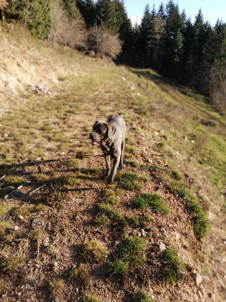 Des Montagnes Ardèchoise - Mengie des monts d'ardéche 