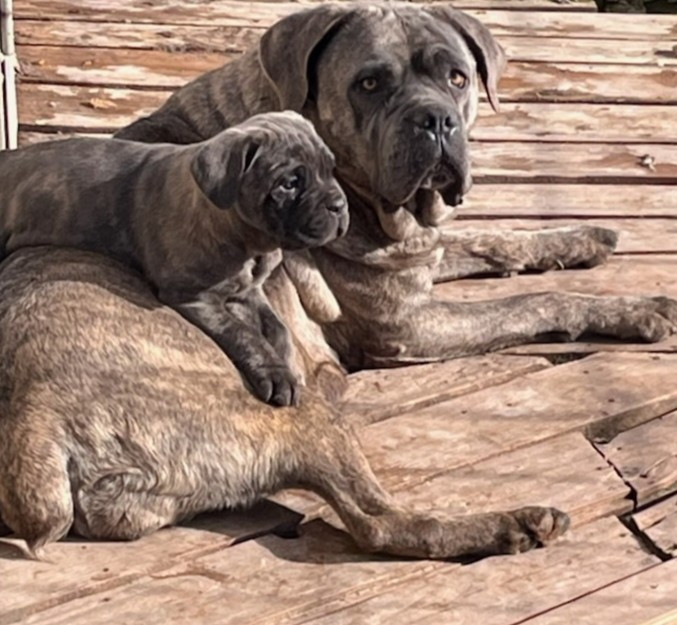 Elles profitent d un rayon de soleil ☀ 
