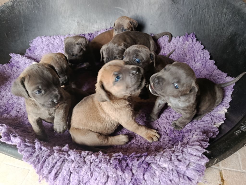 Un mois pour les mignons nés le 19 juillet 2025