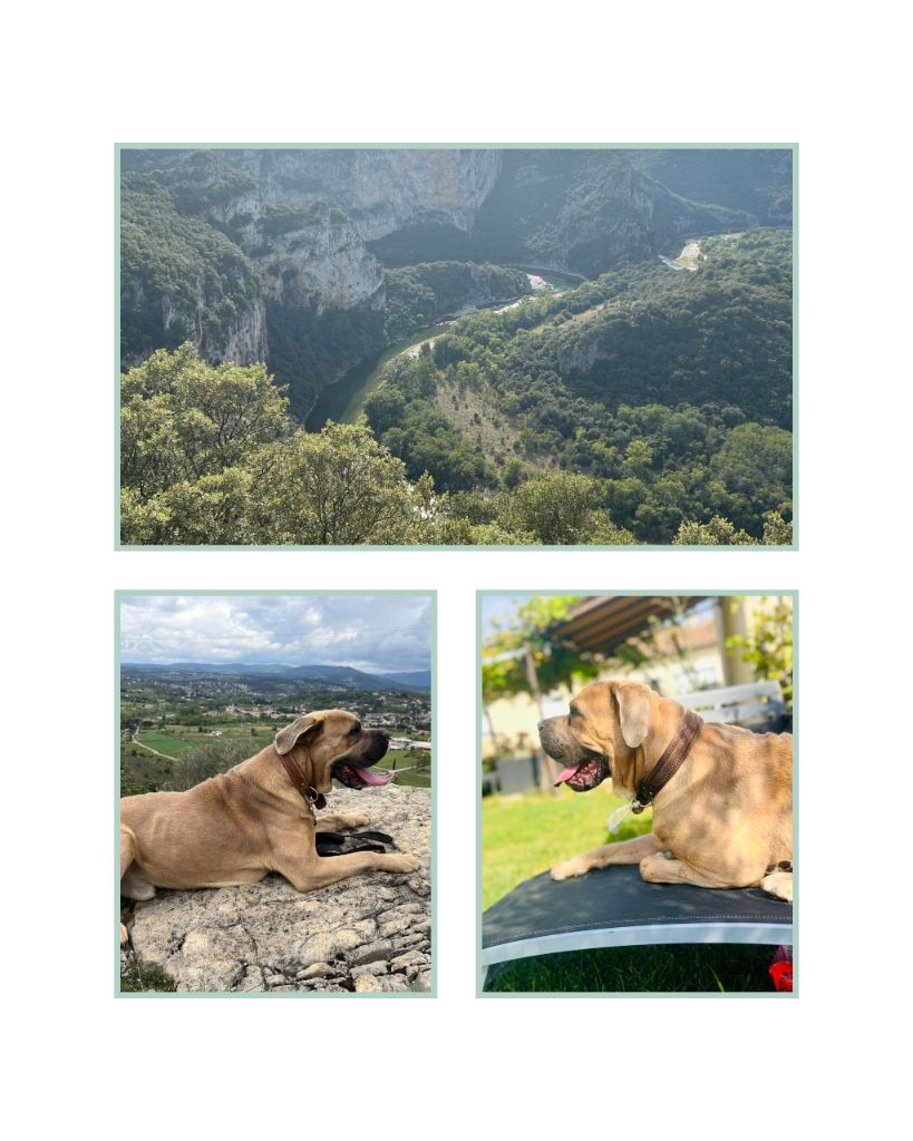 Des Montagnes Ardèchoise - Des nouvelles de Pax Des Monts d 'Ardeche 