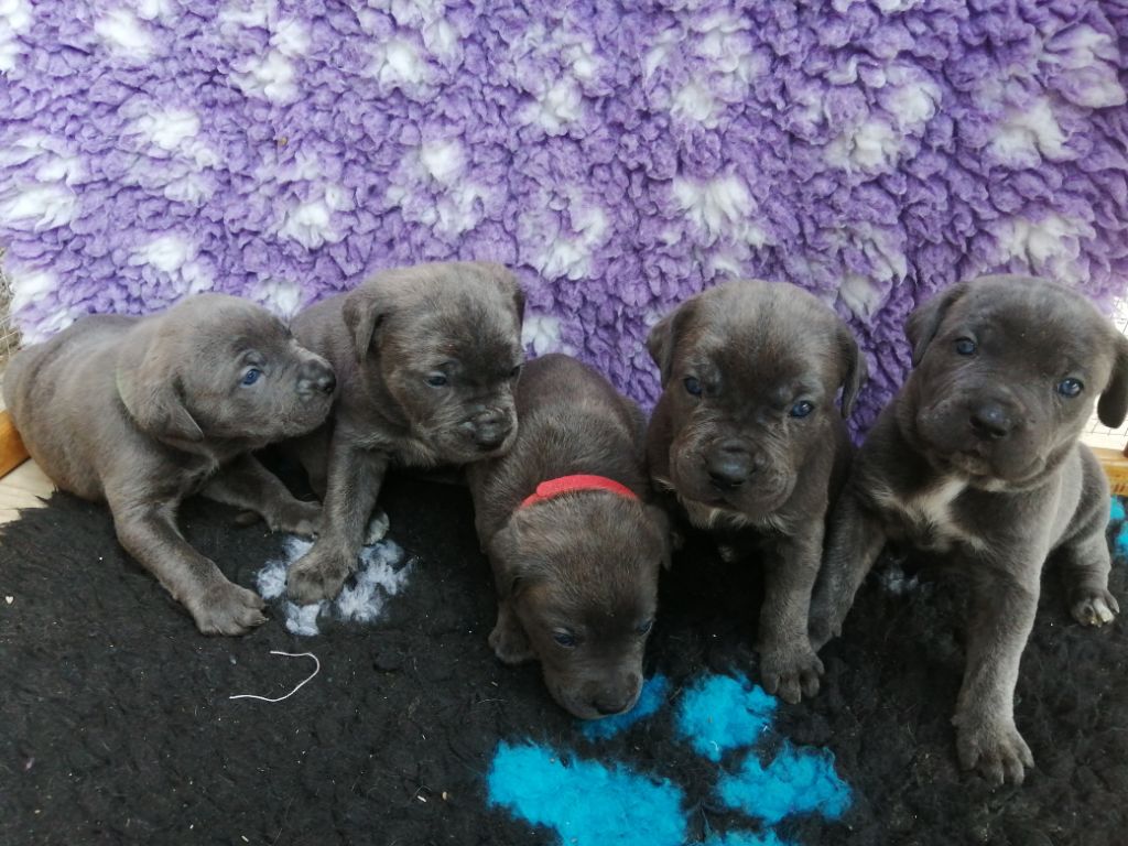 Photos des BB nés le 06 Mai 2020